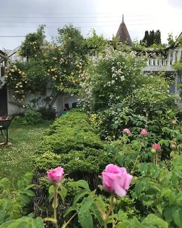 Σπίτι διακοπών Un Paradis De Verdure En Plein Centre Périgueux